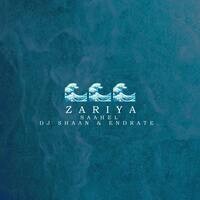 Zariya (Remix)