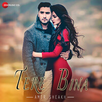 Tere Bina