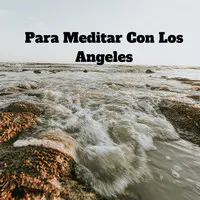 Para Meditar Con Los Angeles