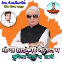 Meena highcourt Nangal mein