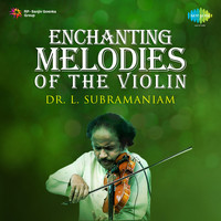 Enchanting Melodies Of The Violin