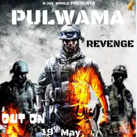 Pulwama Revenge