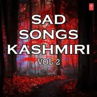 Sad Songs - Kashmiri Vol-2