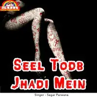 Seel Todb Jhadi Mein