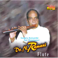 Dr.N.Ramani (Flute) - 06