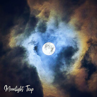 Moonlight Trap (with Marte)