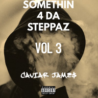 Somethin 4 da Steppaz, Vol. 3