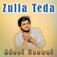 Zulfa Teda