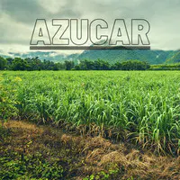 Azucar