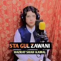 STA GUL ZAWANI