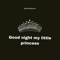 Goodnight My Little Princess