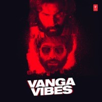 Vanga Vibes