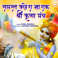 Samast Klesh Nashak Shree Krishna Mantra