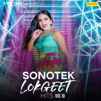 Sonotek Lokgeet Hits Vol 10