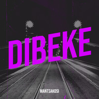 Dibeke