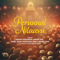 PERUNNAL NILAAVU