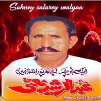 sohny salarey walyaa