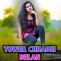 TOWER CHHADEI DELAN