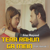 Tera Rahun Ga Mein (From"Humzaad")