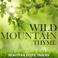 Wild Mountain Thyme: Beautfiul Celtic Tracks Songs Download: Play ...