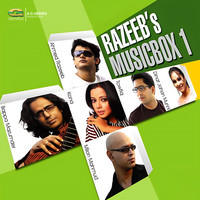 Razeeb's Music Box 1