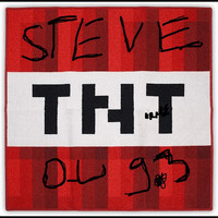 Steve du 9.3