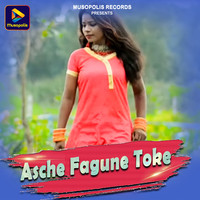 Asche Fagune Toke