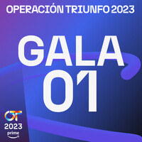 Acalorado Song|Lucas Curotto|OT Gala 1 (Operación Triunfo 2023)| Listen ...