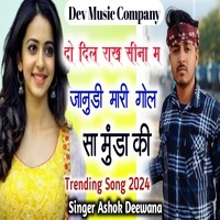 Do Dil Rakh Seena M Janudi Mari Golsa Munda Ki Tranding Song