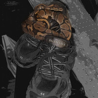 Snake in My Balenciez!