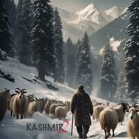 Kashmir 2