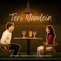 Teri Yaadein