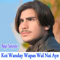 Koi Wanday Wapas Wal Nai Aye