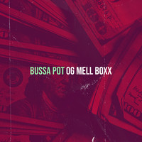 Bussa Pot