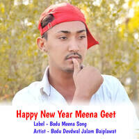 Happy New Year Meena Geet