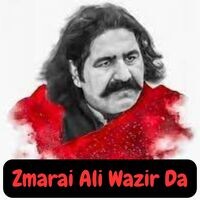 Zmarai Ali Wazir Da