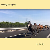 Happy Galloping