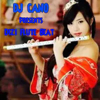 Dizi Flute Beat