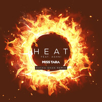 Heat (Remix) [feat. Ashni & Ducka Shan]