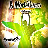 A Mortal Grows Wings