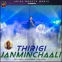 Thirigi Janminchaali