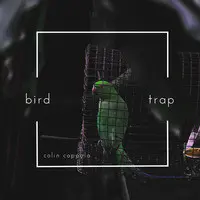 Bird Trap