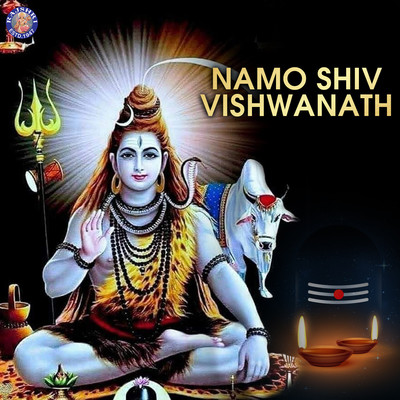 Shiv Tandav Stotra MP3 Song Download by Rajessh Iyer (Namo Shiv ...