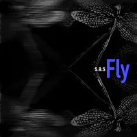 Fly