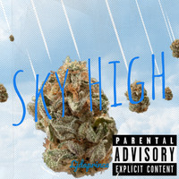 Sky High