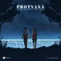 Protyaxa