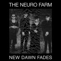 New Dawn Fades