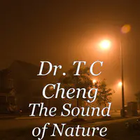 The Sound of Nature