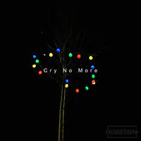 Cry No More