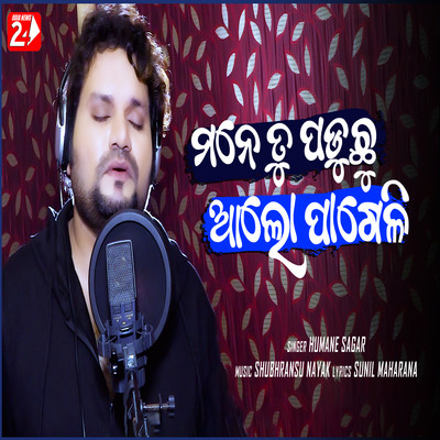 Mane Tu Paduchu Alo Pageli Lyrics in Odia, Mane Tu Paduchu Alo Pageli ...